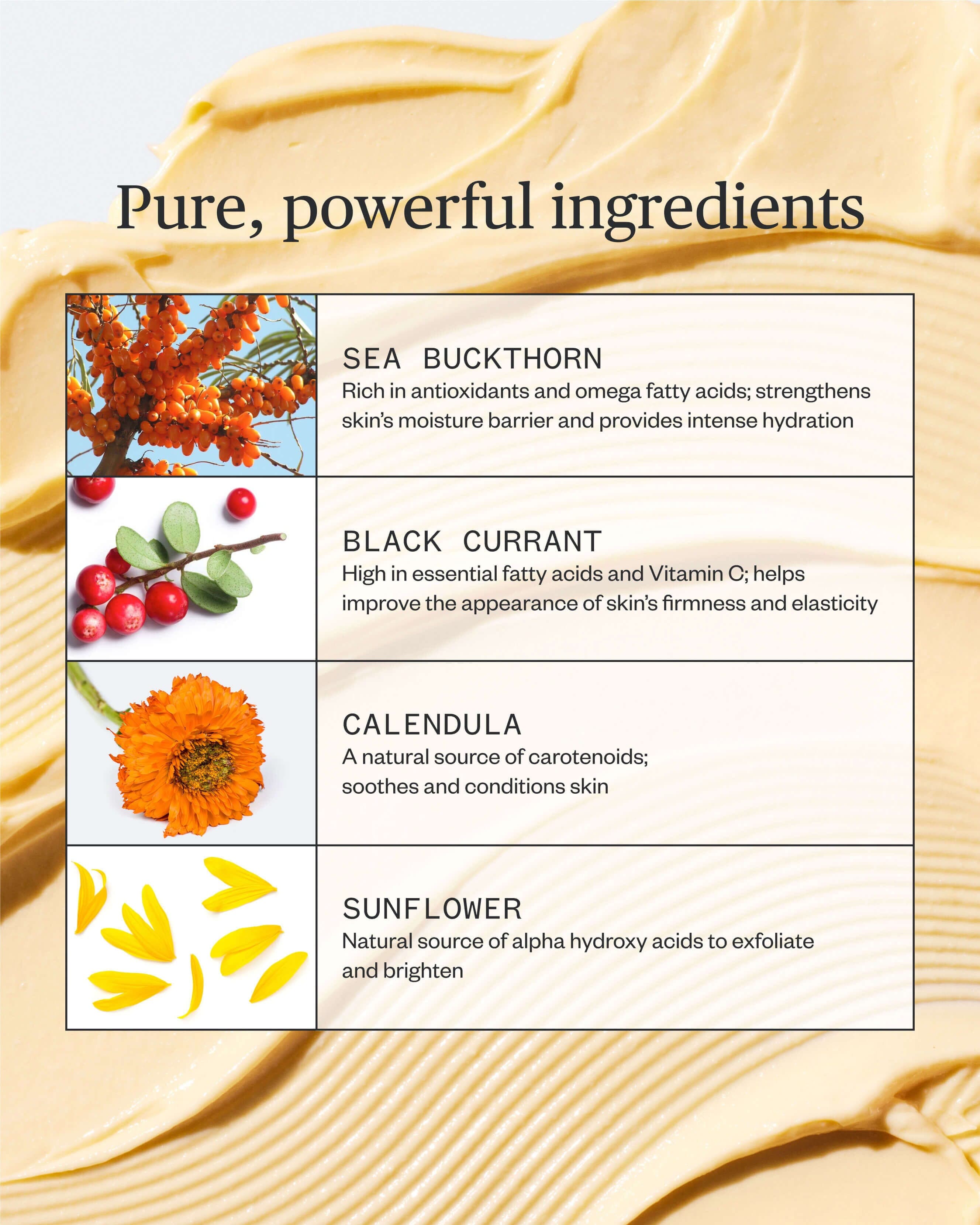 Golden Hour Recovery Cream | Ursa Major Skincare 3