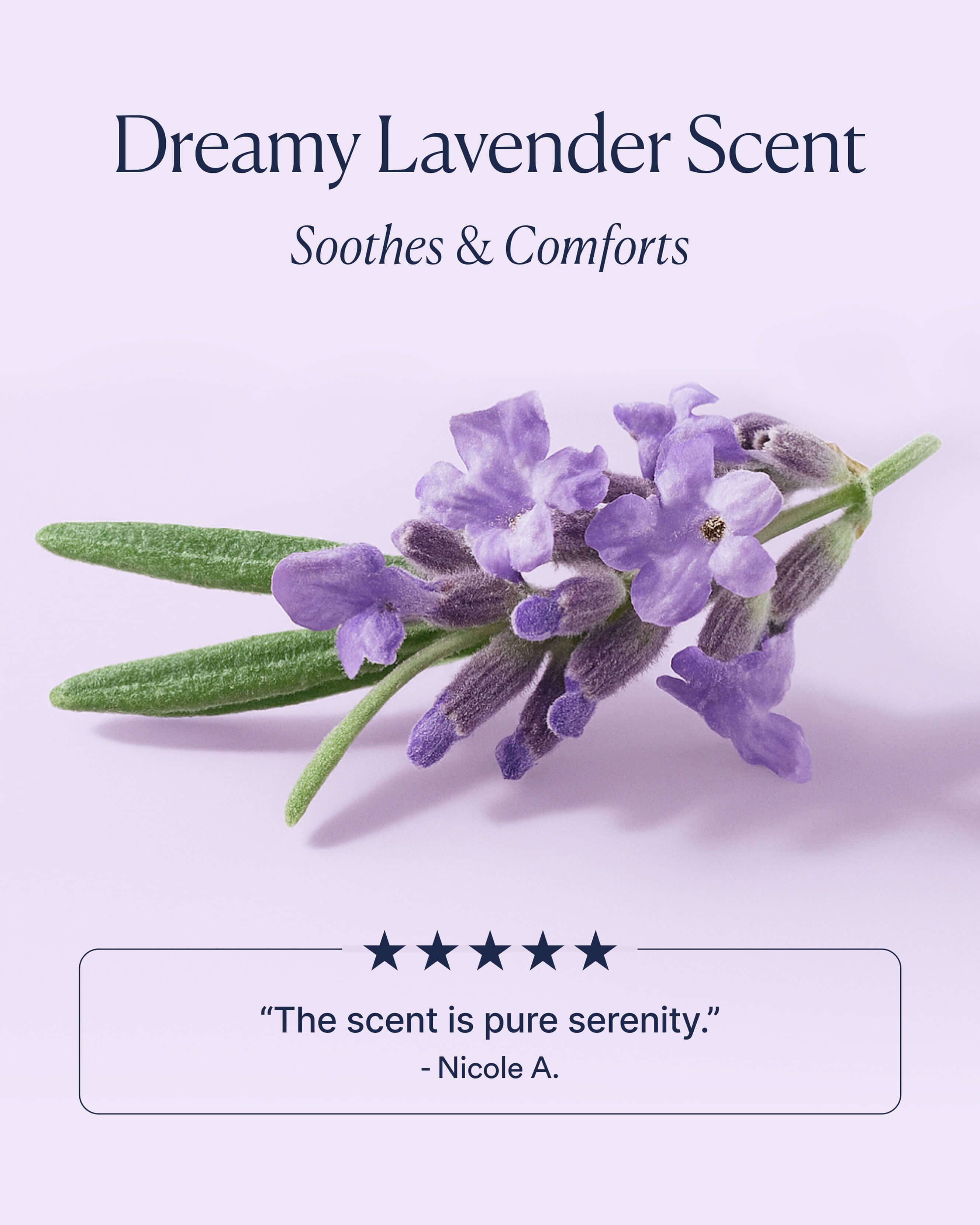 Dream Bio-Retinol Body Serum 7