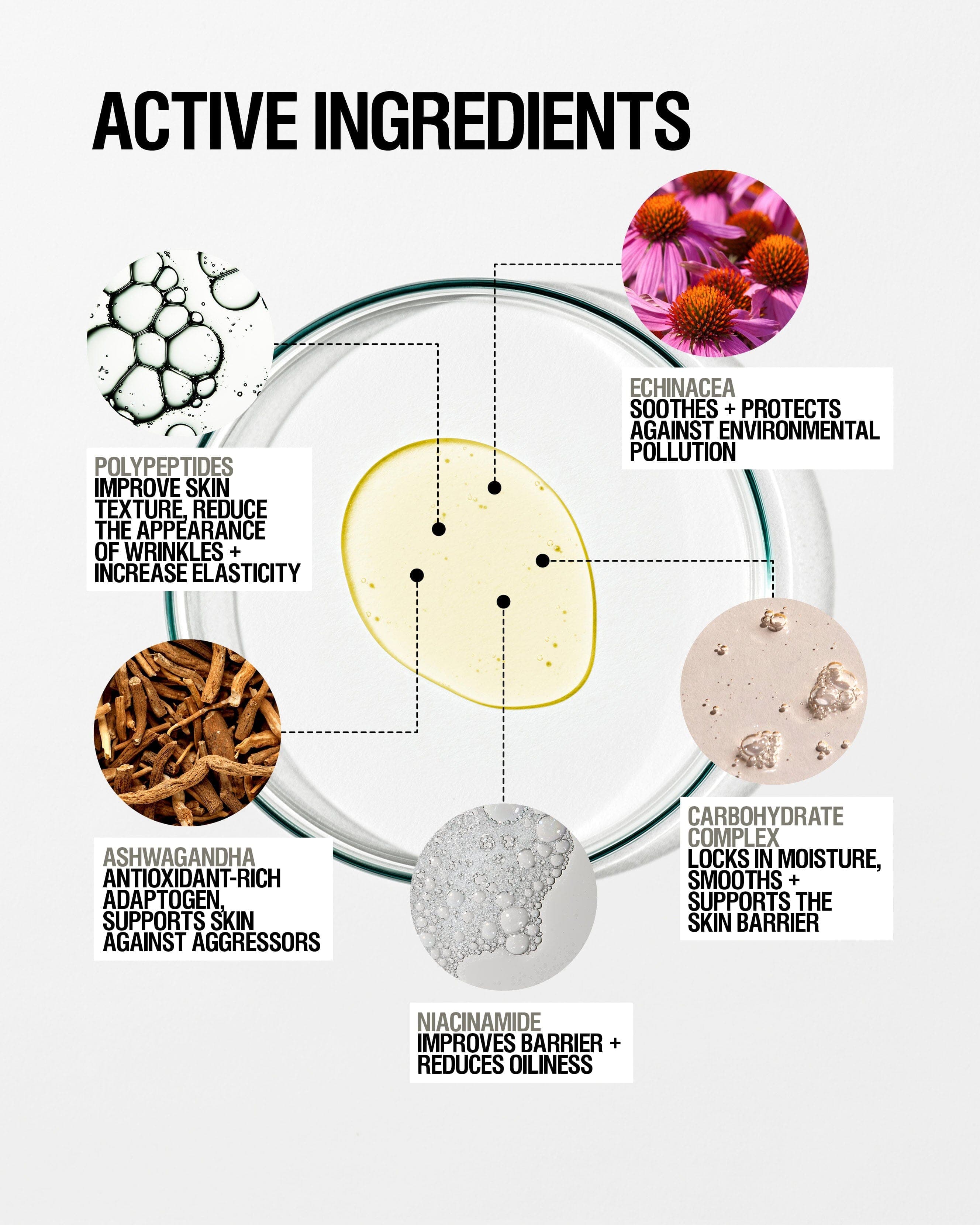 Skin Renewal Serum (25mL) 4