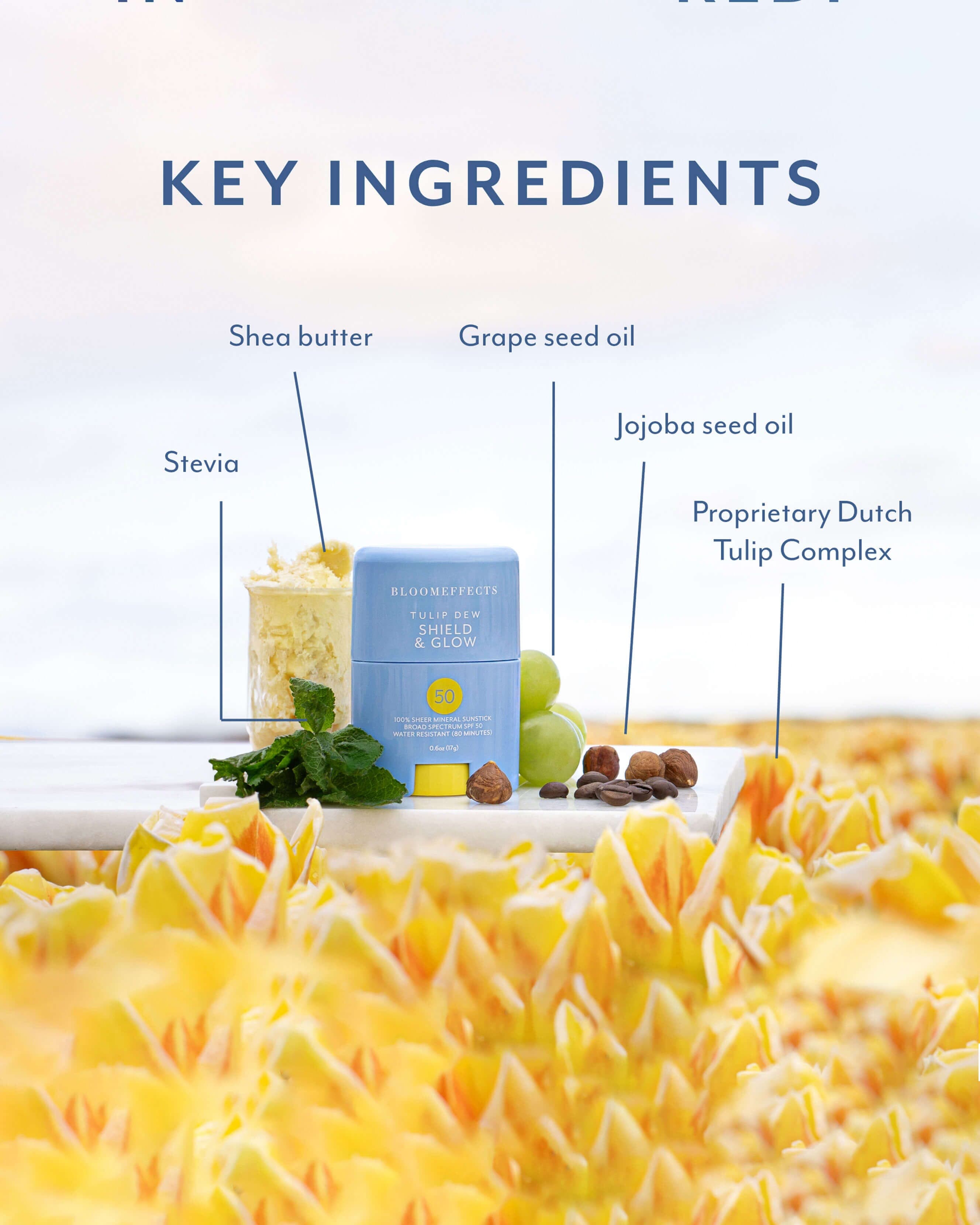 Tulip Dew Shield & Glow SPF Sunstick 7