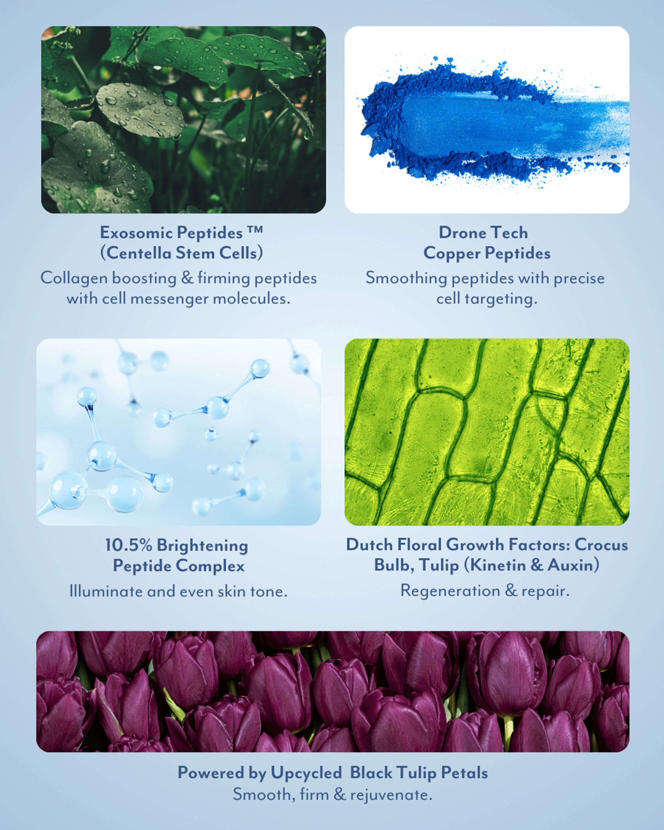 Black Tulip Regenerative Brightening Serum 3