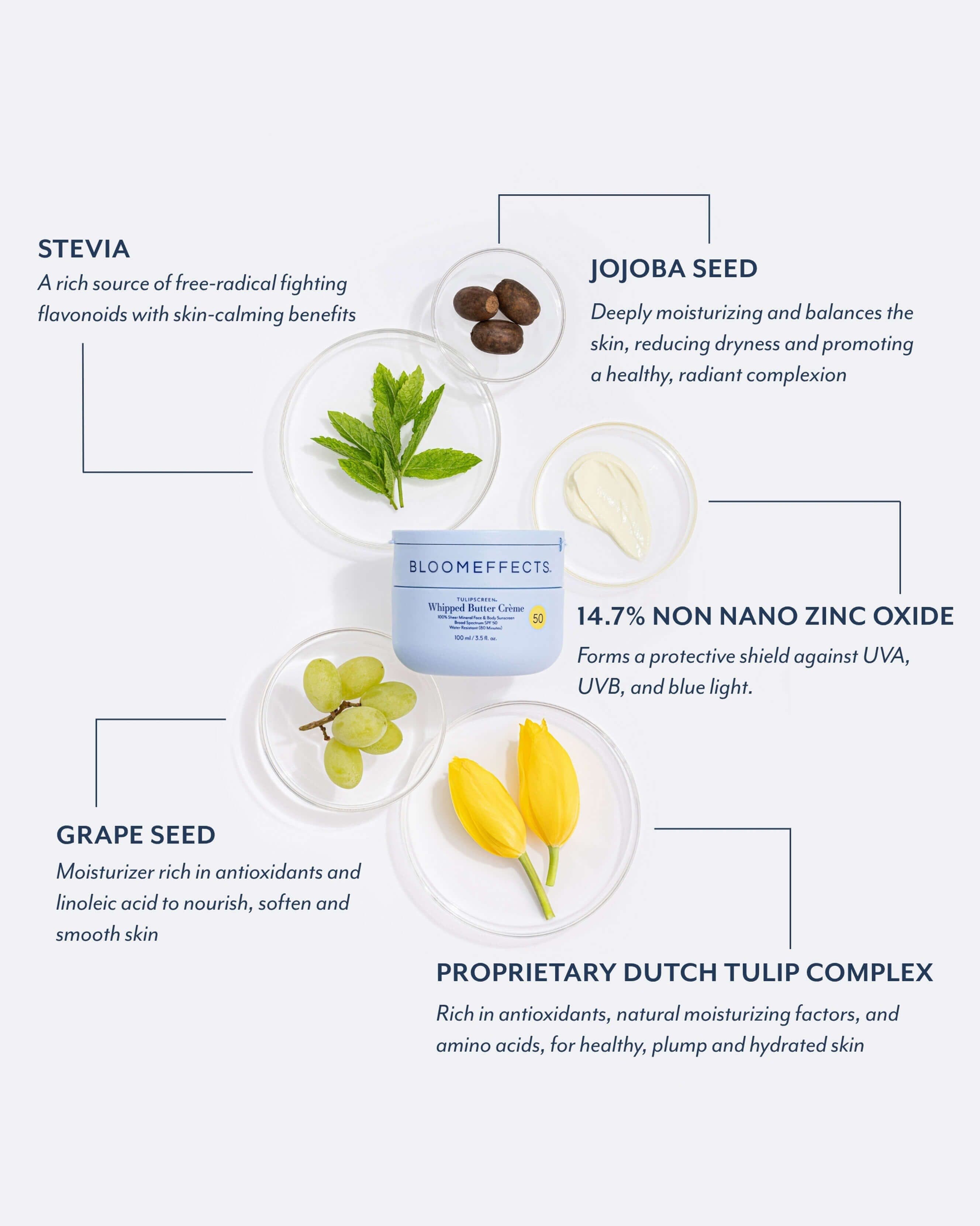Tulipscreen™ Whipped Butter Crème 4