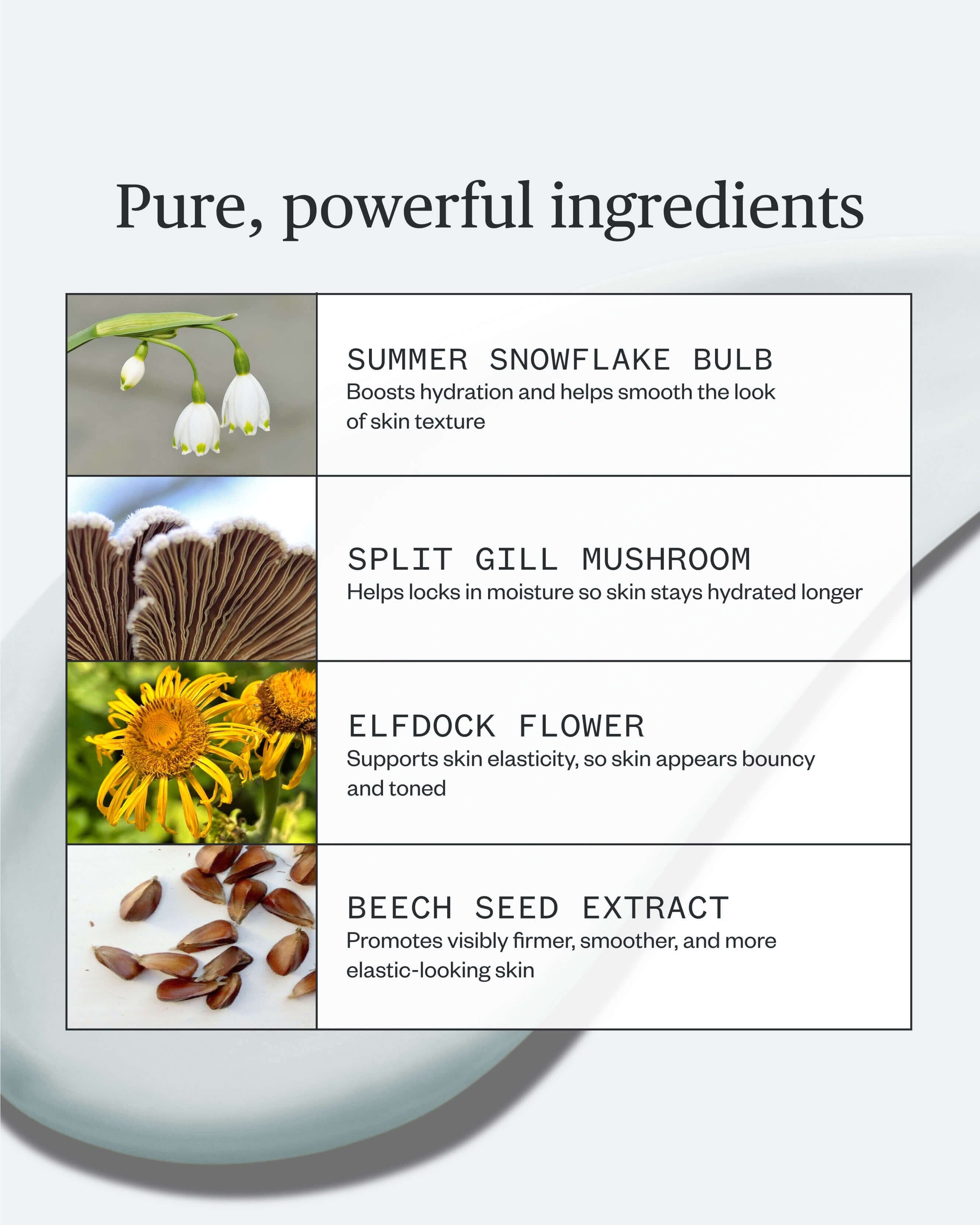 Vital Spring Hydration Mask 3