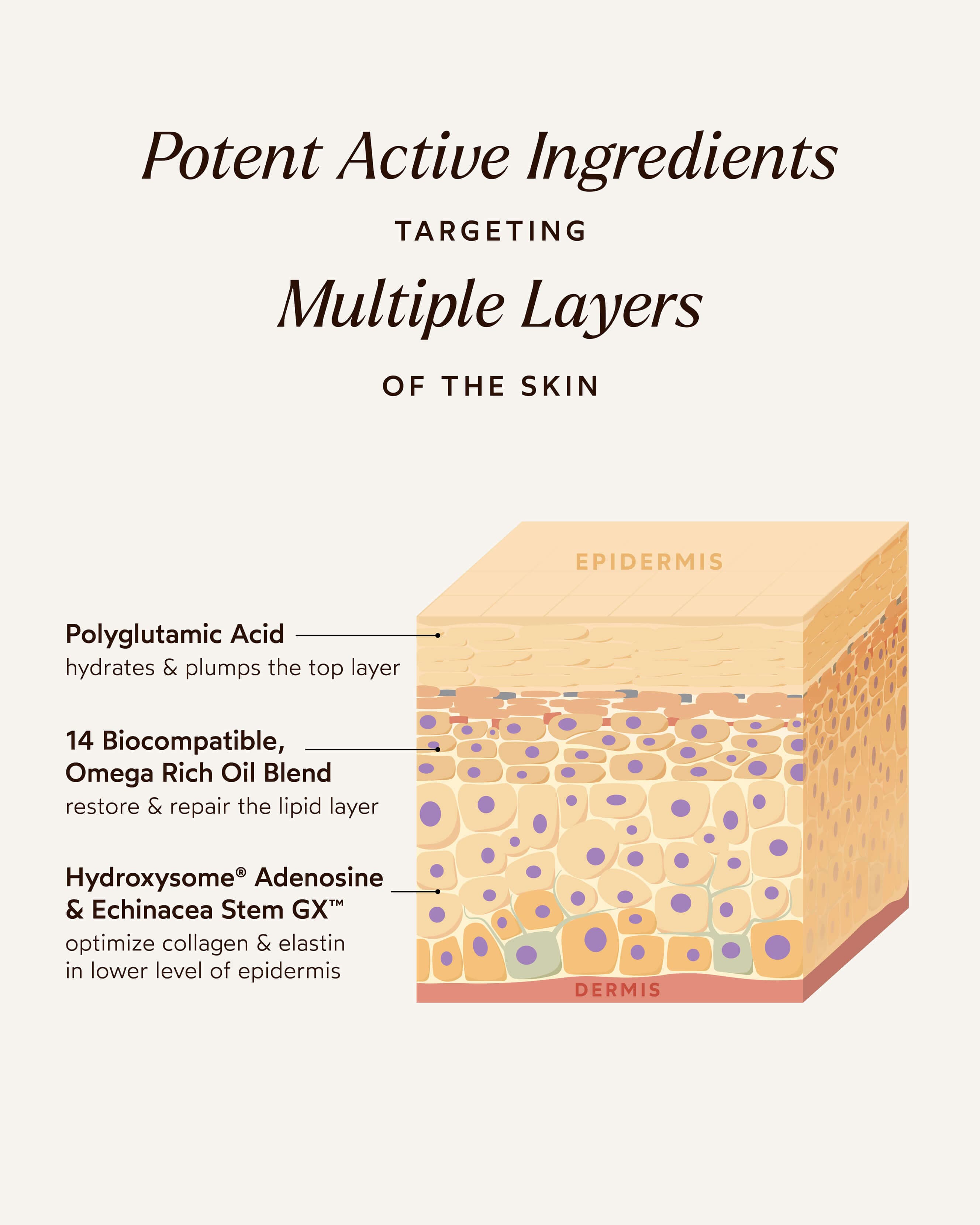 Pure Radiance Supreme Eye Cream 4