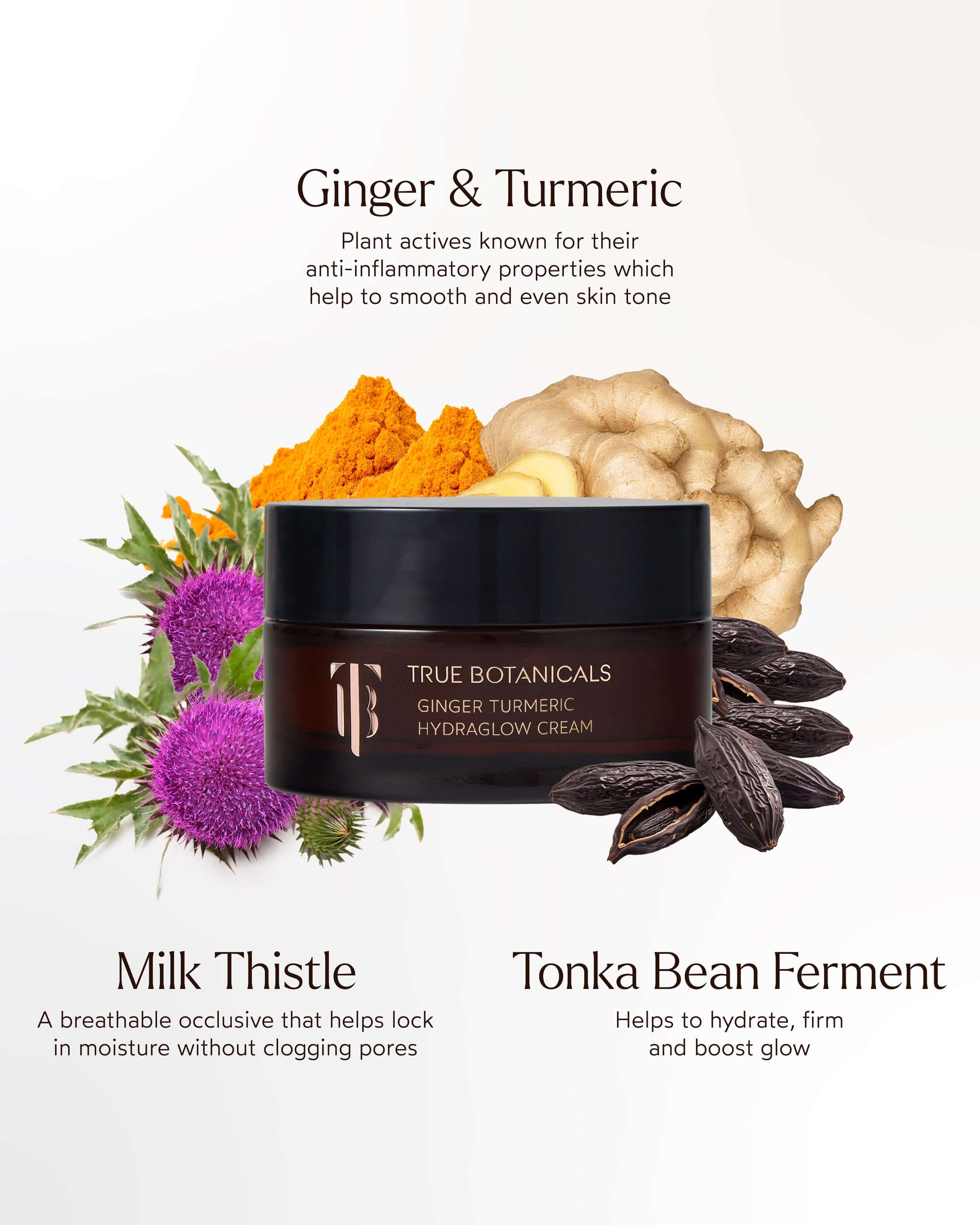 Ginger Turmeric HydraGlow Cream 4
