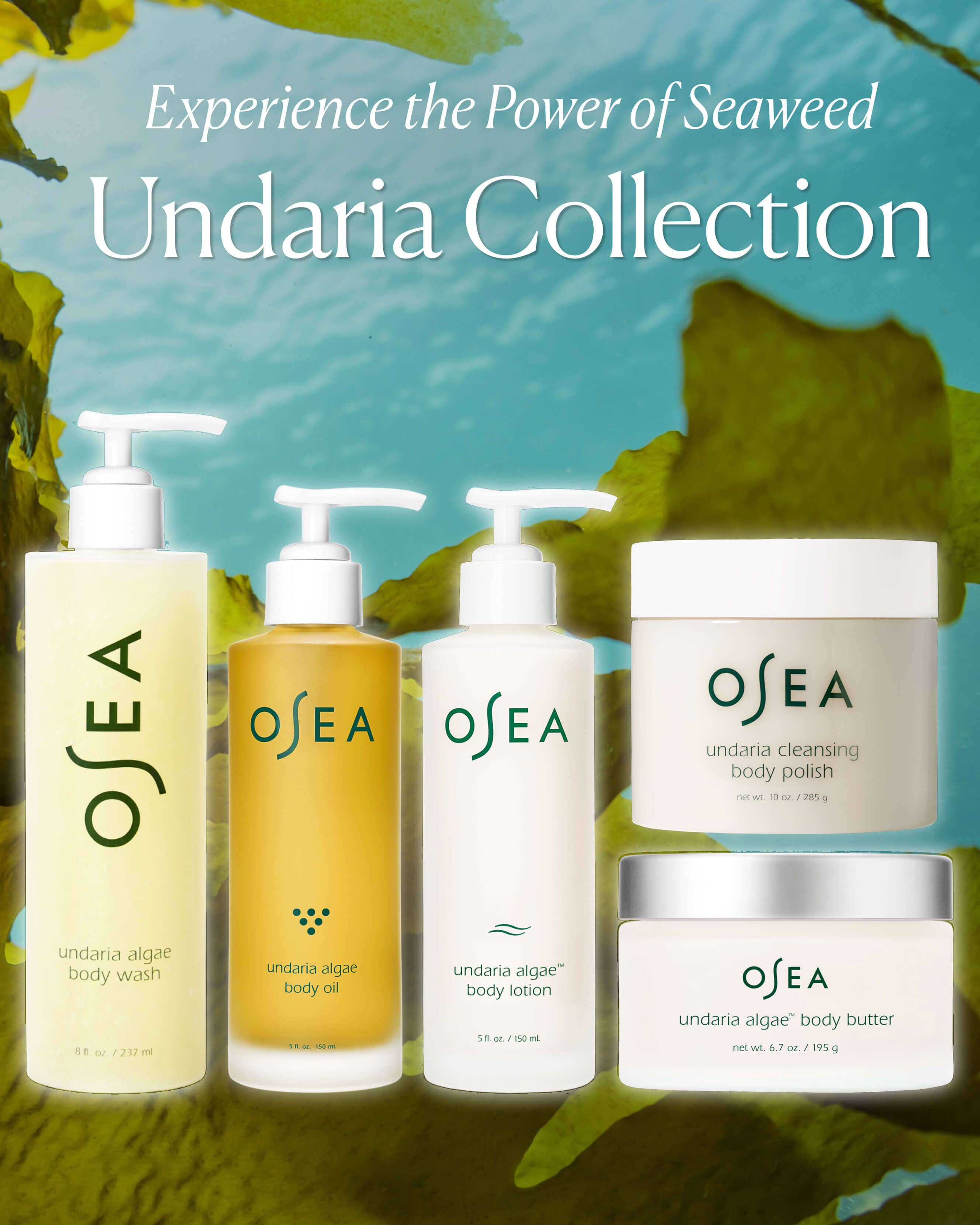 Undaria Algae™Body Oil 9